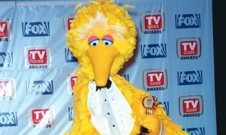 big bird sesame street