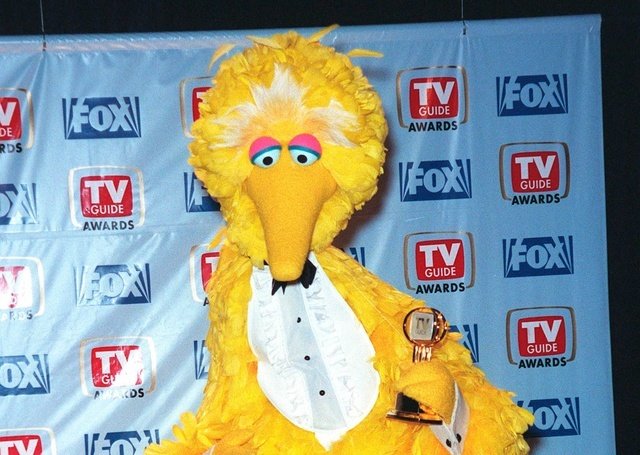 big bird sesame street