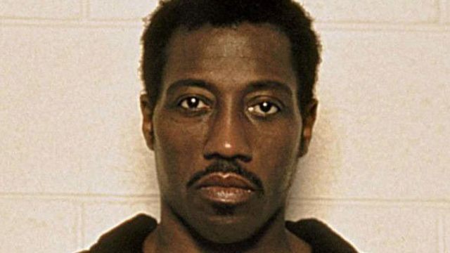 wesley snipes mugshot