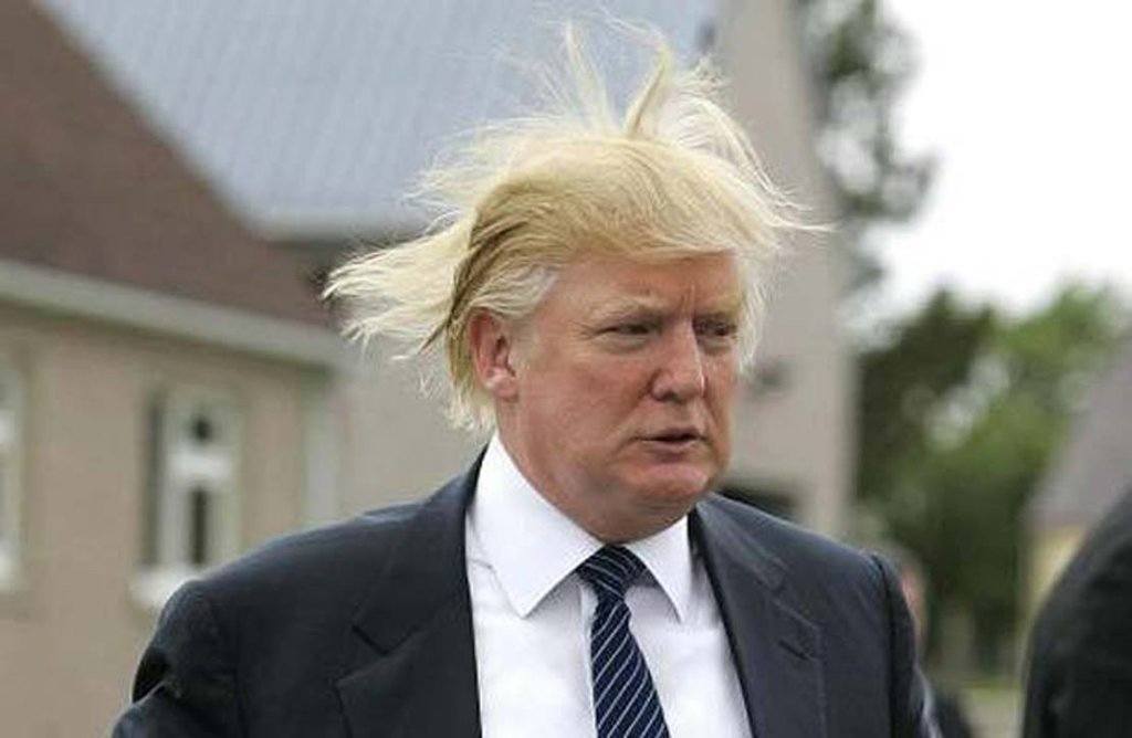 Donald Trump's hair