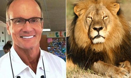 walter palmer