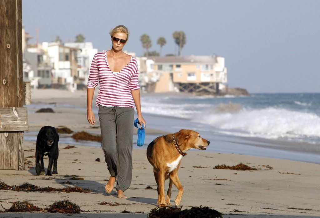 Charlize Theron walks her dogs