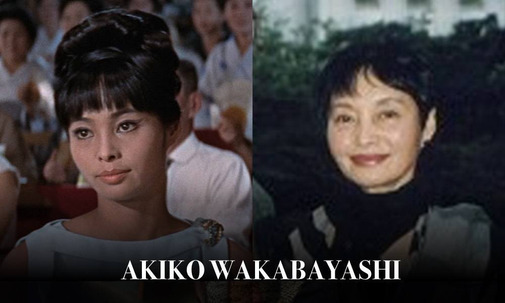 akiko wakabayashi