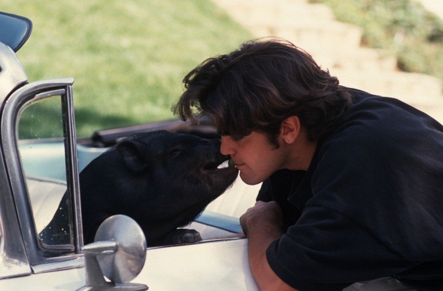 George Clooney and Max