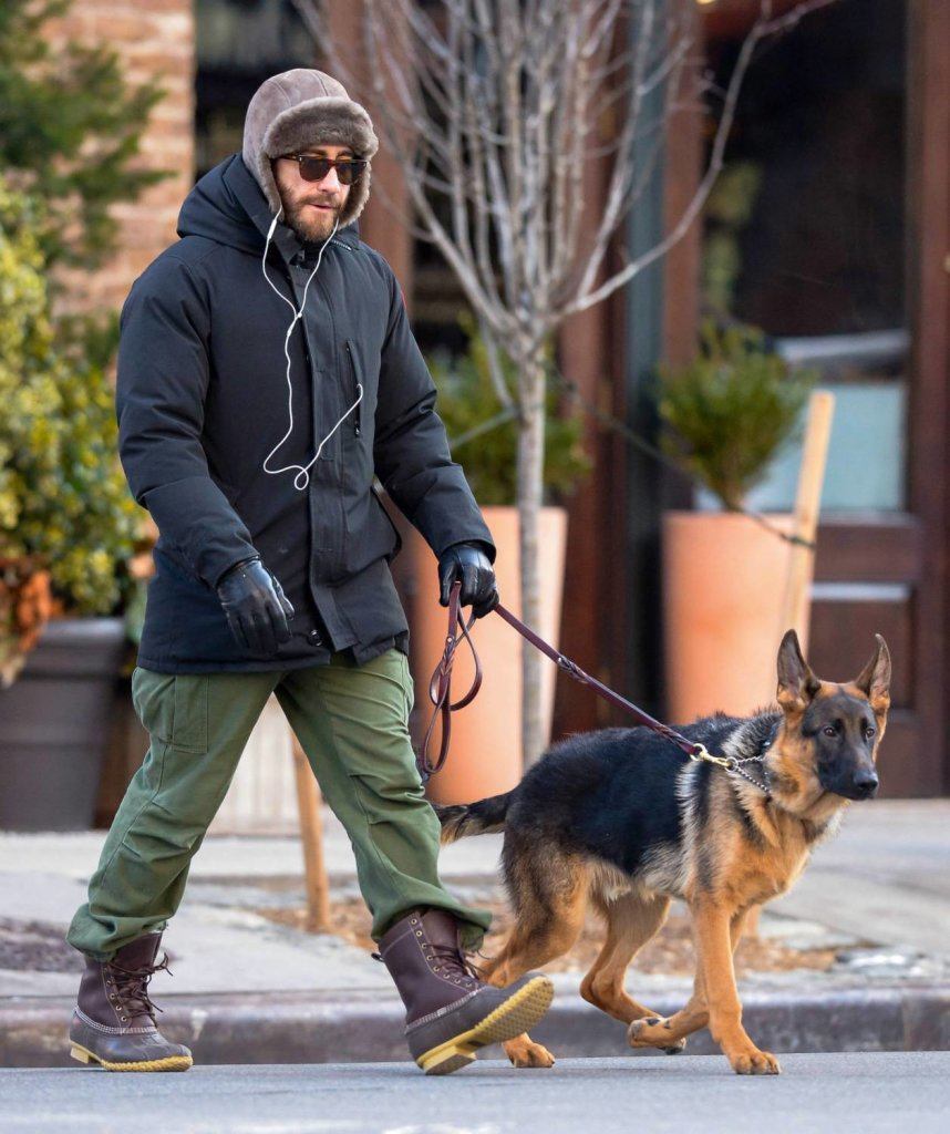 Jake Gyllenhaal and dog