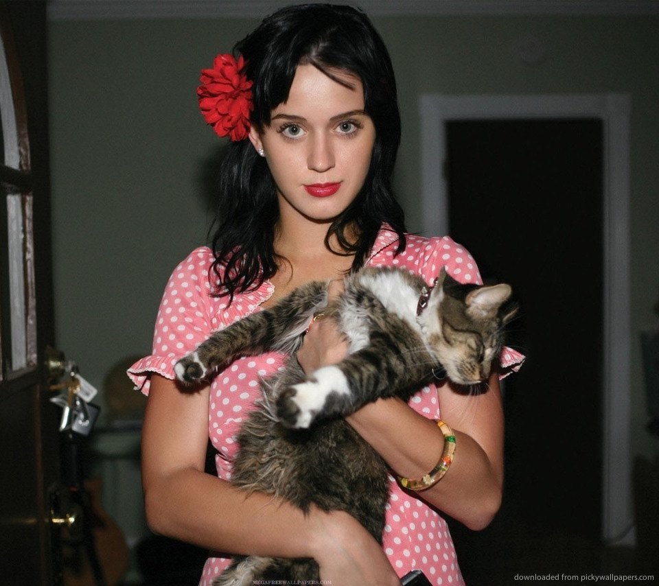 Katy Perry and Kitty Purry