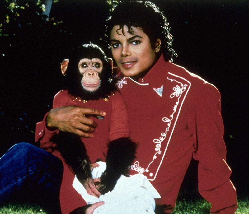 Michael Jackson and Bubbles