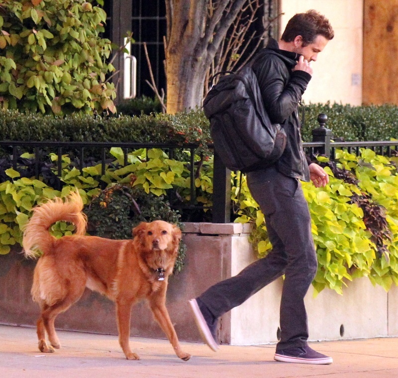 Ryan Reynolds and Baxter