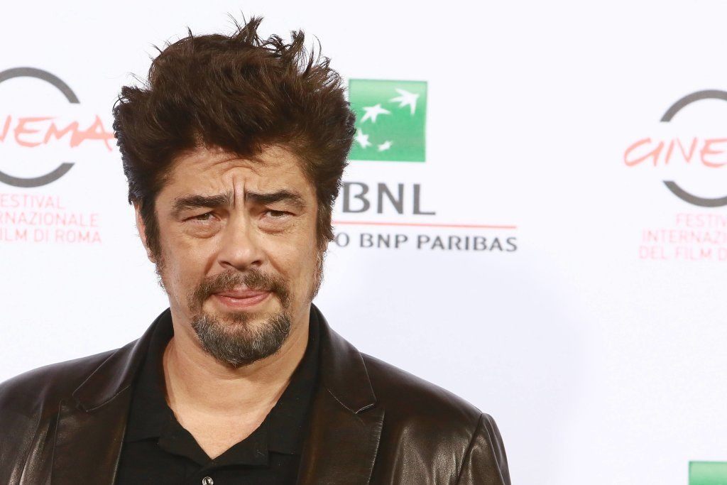 Actor Benicio Del Toro