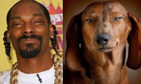 snoop dogg