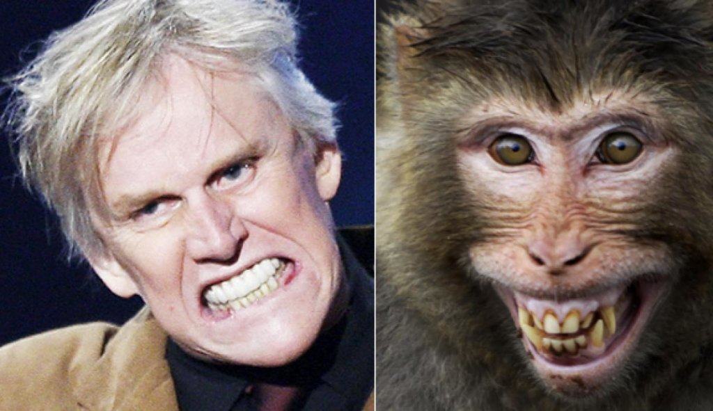 gary busey