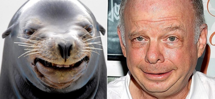 wallace shawn