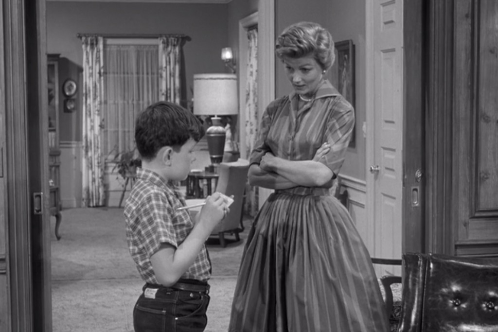 15 Things You Never Knew About 'Leave it to Beaver' Page 3 of 15