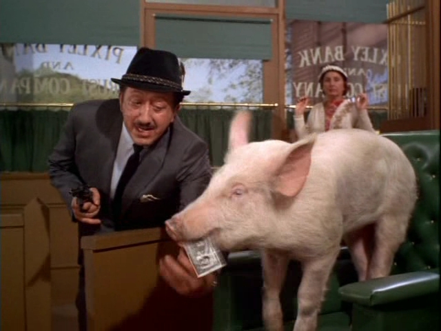 pig on green acres