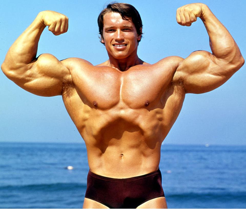 Arnold bodybuilder