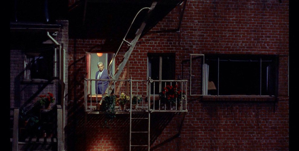 rear window