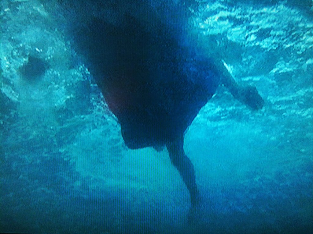 underwater Jaws shot