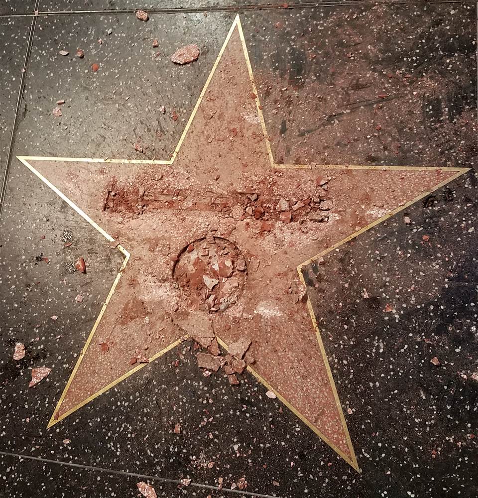 donald trump star