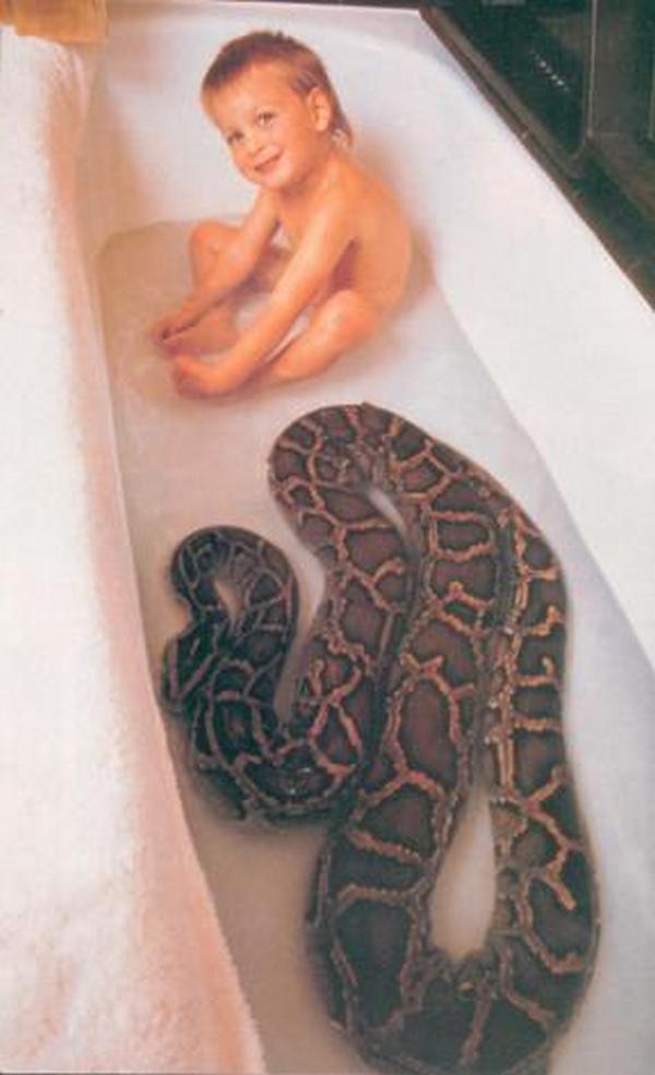 Snake in a tub