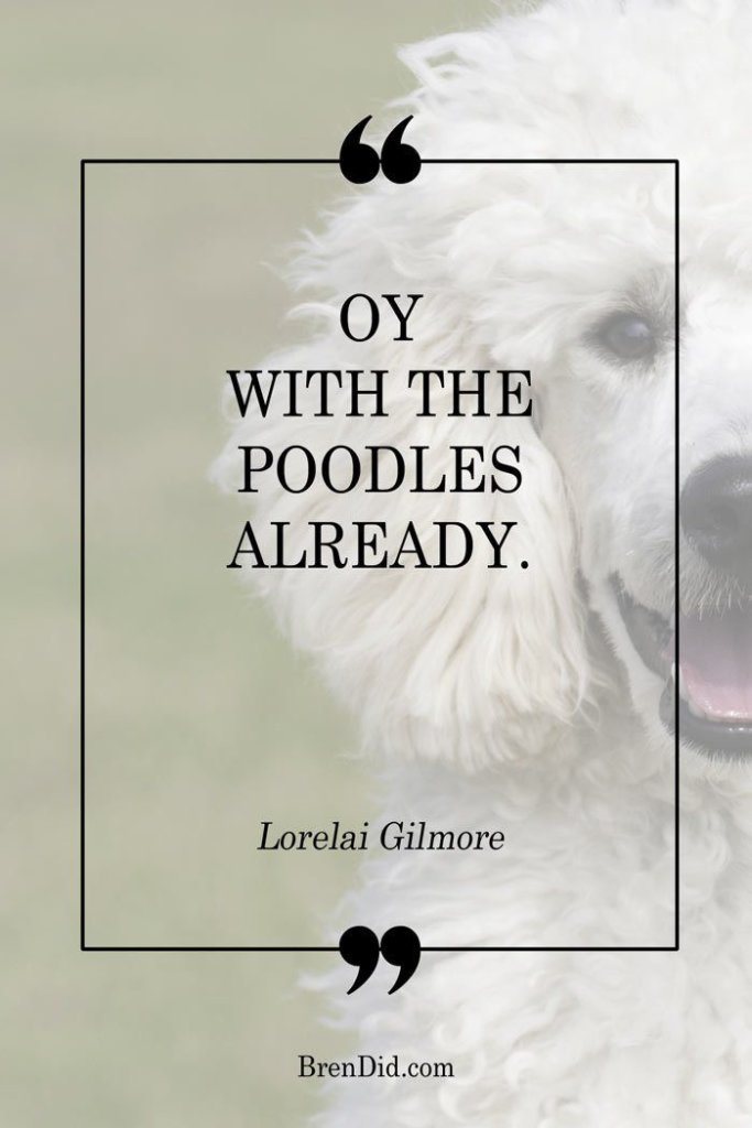 Oy With the Poodles