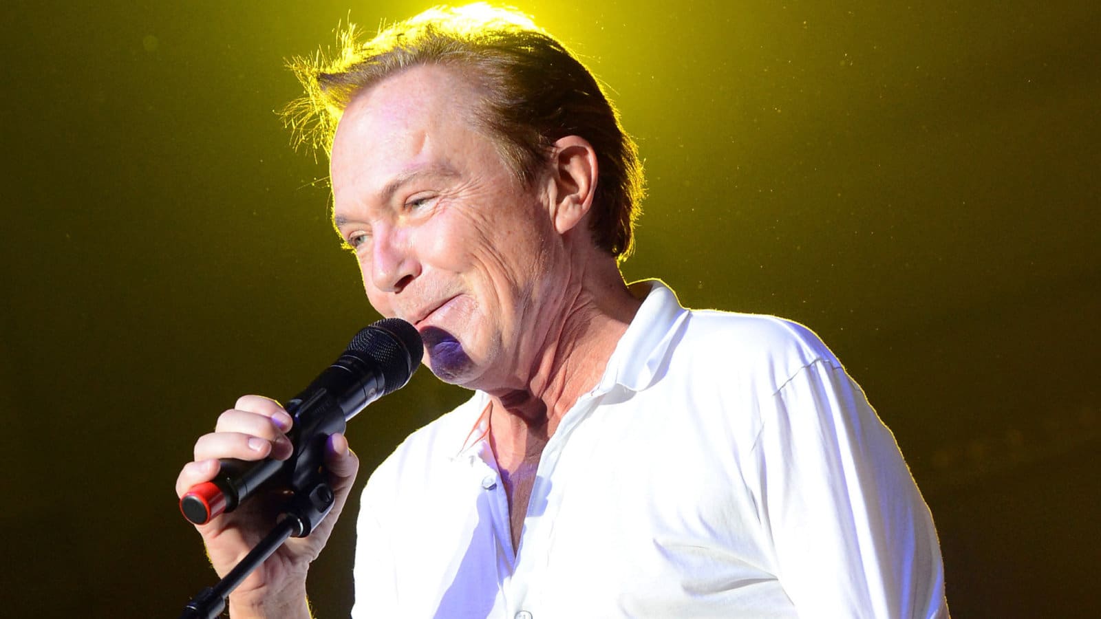 david cassidy