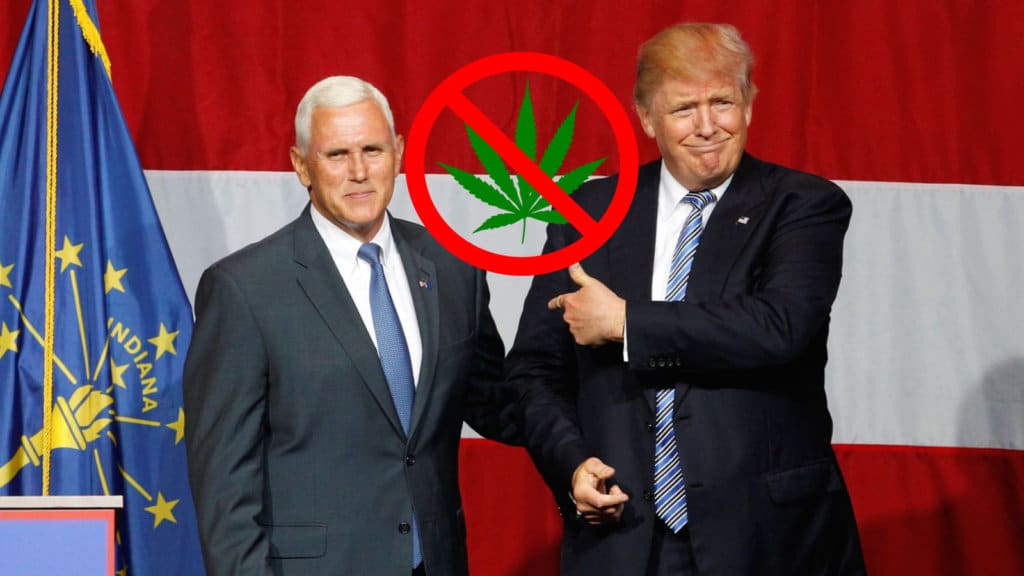 pence trump weed