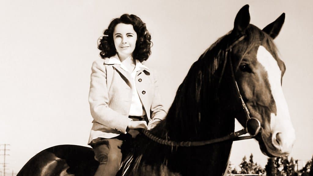 elzabeth taylor national velvet