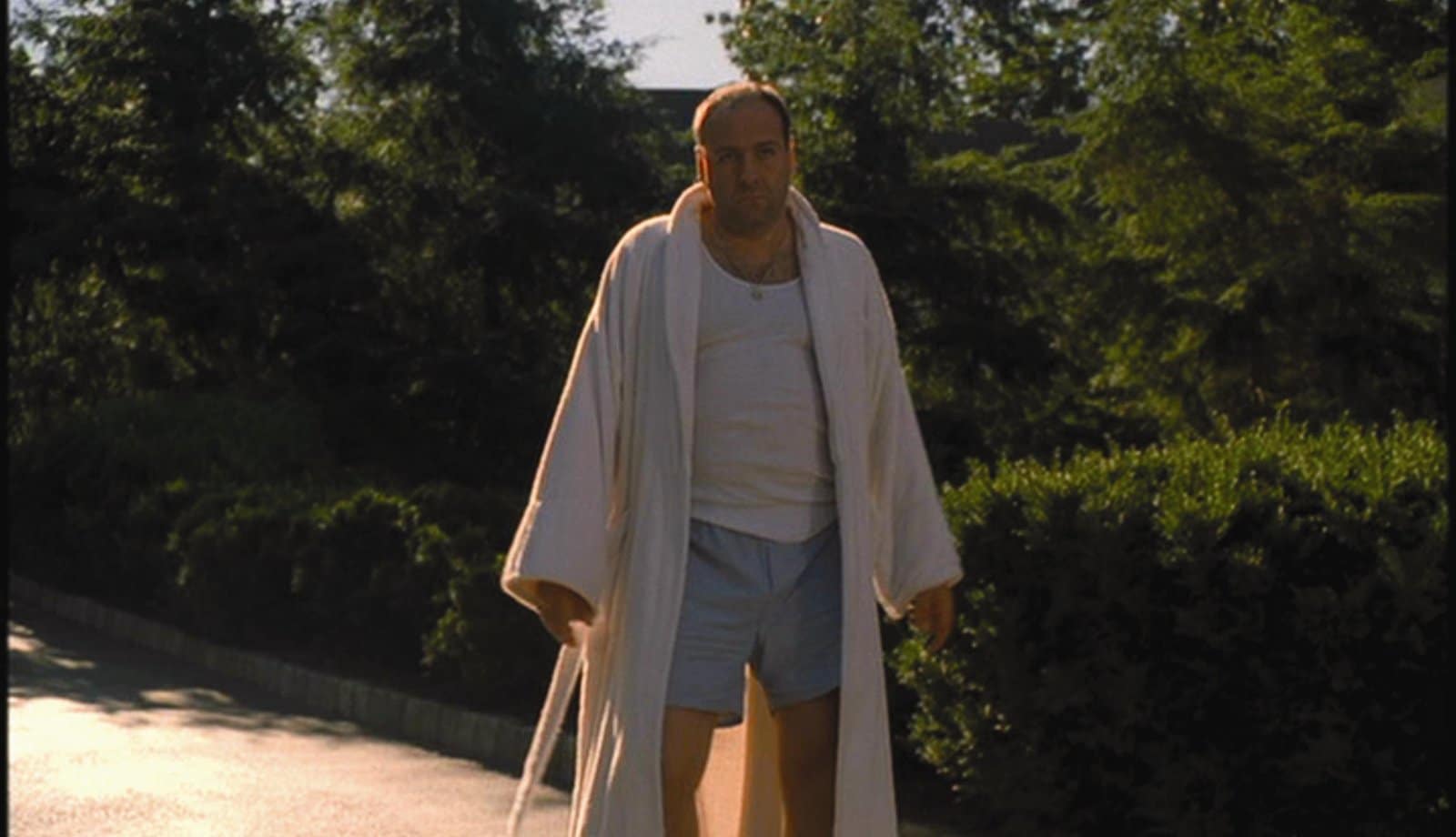 7. Tony Soprano Shouldn’t Have Worn Shorts.