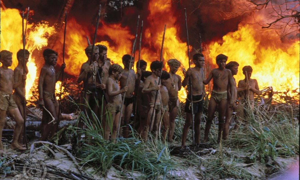 Warner Bros Plans Female Version of 'Lord of the Flies' -...