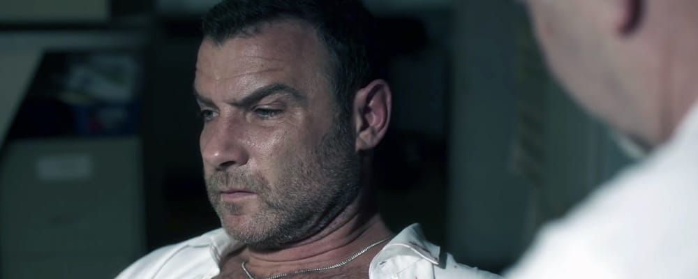 ray donovan character